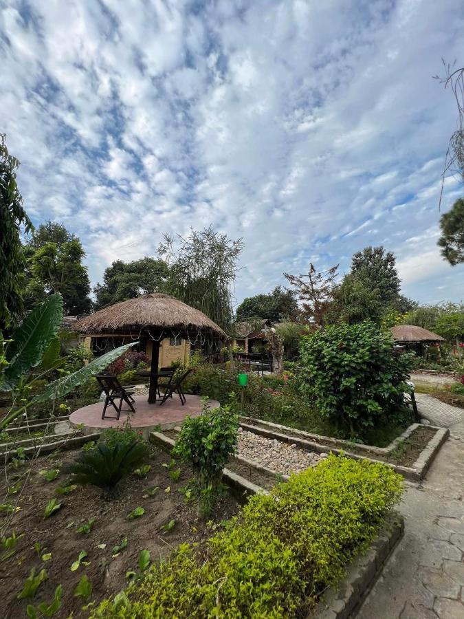Bardia Wildlife Resort バルディヤ エクステリア 写真