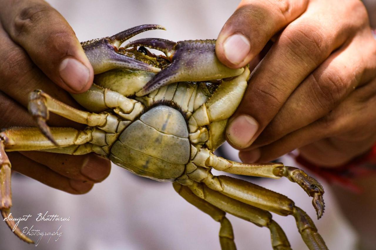 Bardia Wildlife Resort バルディヤ エクステリア 写真