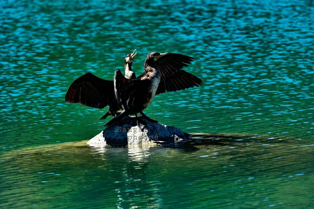 Bardia Wildlife Resort バルディヤ エクステリア 写真