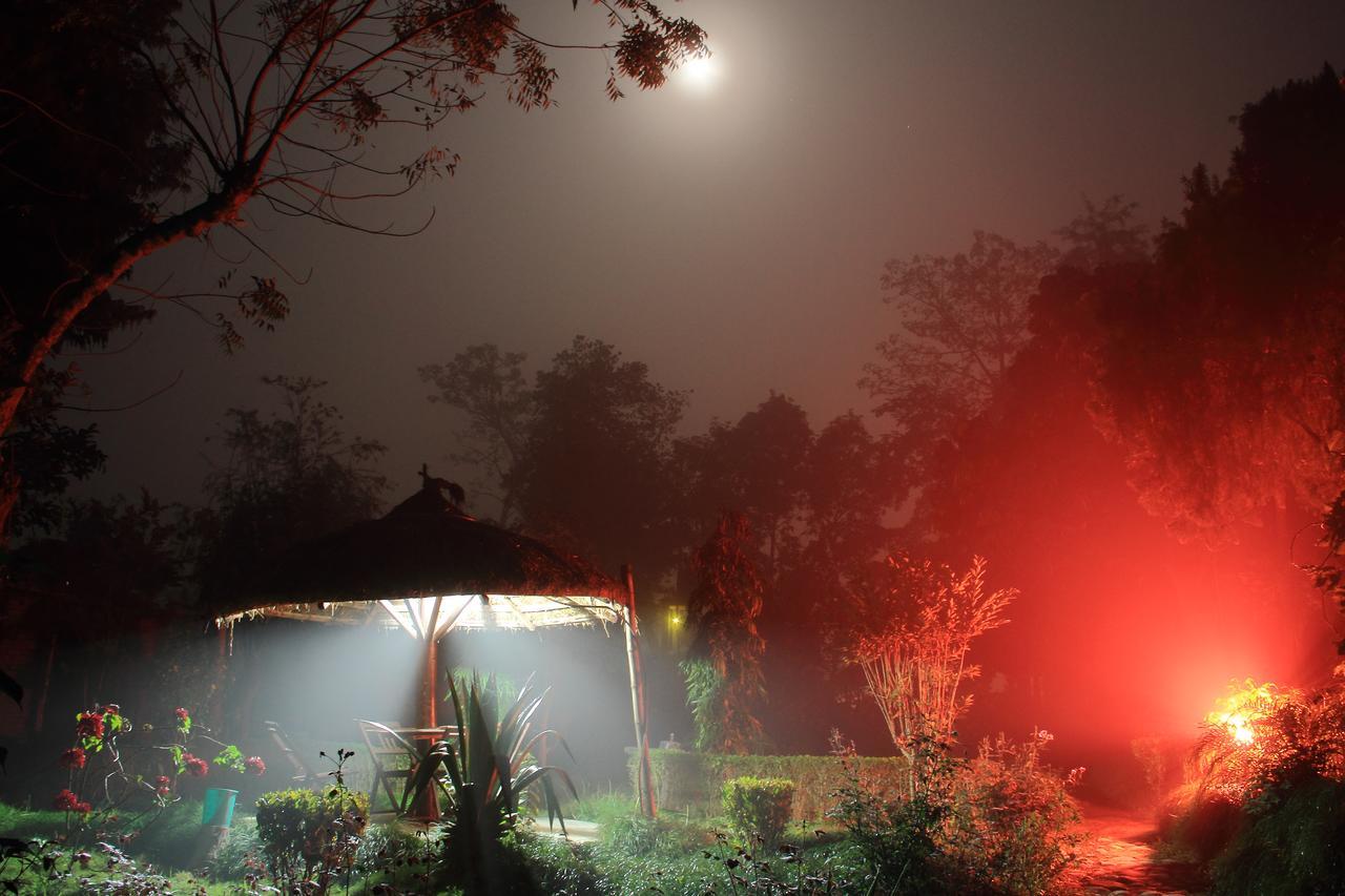 Bardia Wildlife Resort バルディヤ エクステリア 写真