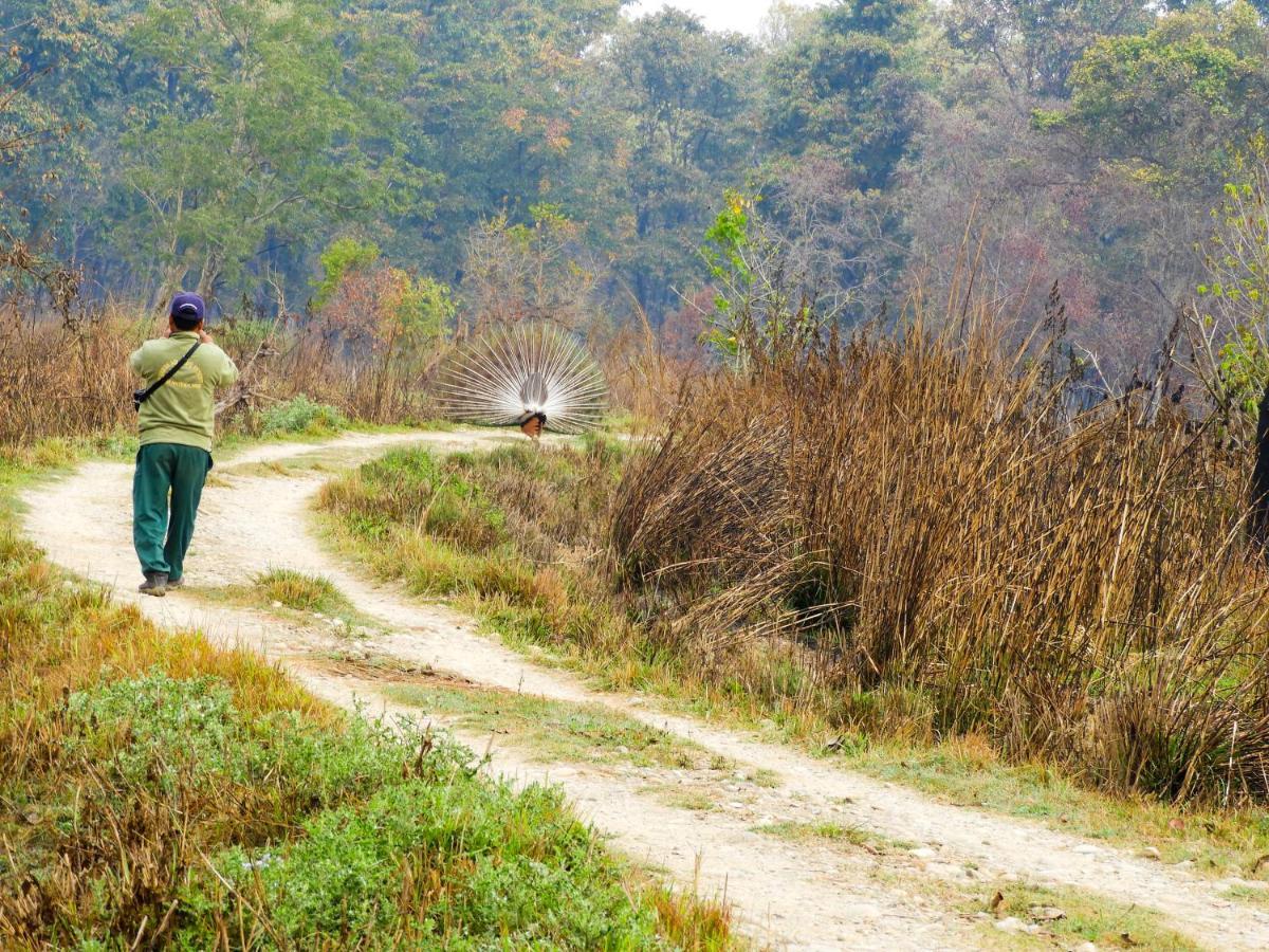 Bardia Wildlife Resort バルディヤ エクステリア 写真